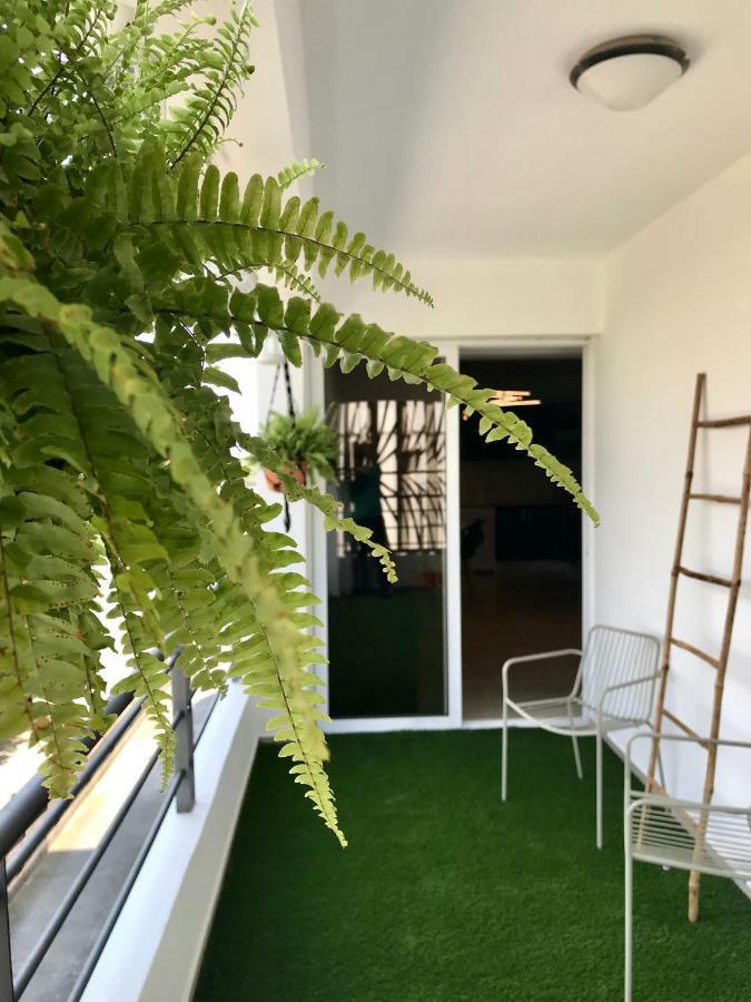 לרנקה Fat Cow Apartment 103 מראה חיצוני תמונה